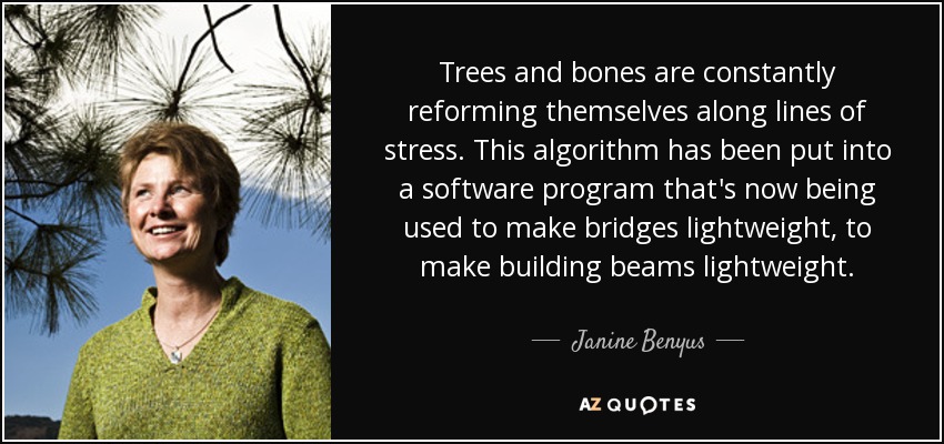 Trees and bones are constantly reforming themselves along lines of stress. This algorithm has been put into a software program that's now being used to make bridges lightweight, to make building beams lightweight. - Janine Benyus