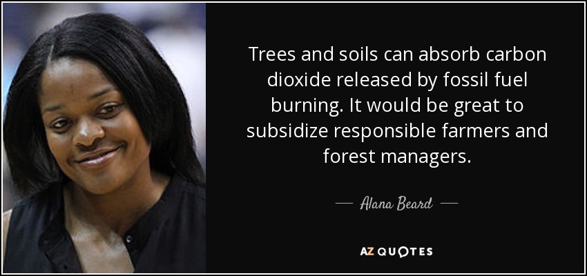Trees and soils can absorb carbon dioxide released by fossil fuel burning. It would be great to subsidize responsible farmers and forest managers. - Alana Beard