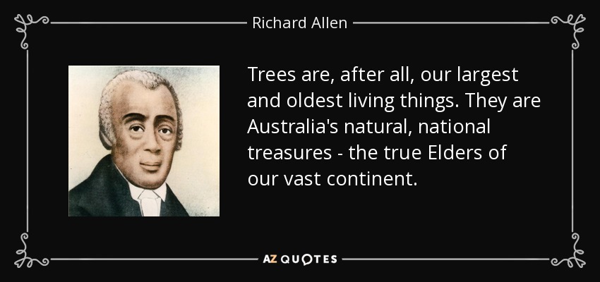 Trees are, after all, our largest and oldest living things. They are Australia's natural, national treasures - the true Elders of our vast continent. - Richard Allen