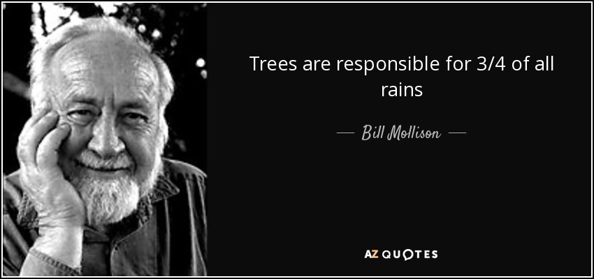 Trees are responsible for 3/4 of all rains - Bill Mollison