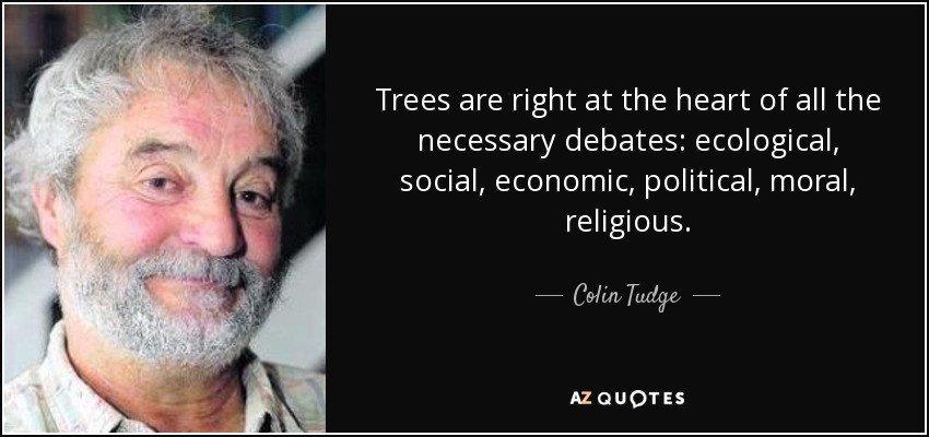 Trees are right at the heart of all the necessary debates: ecological, social, economic, political, moral, religious. - Colin Tudge