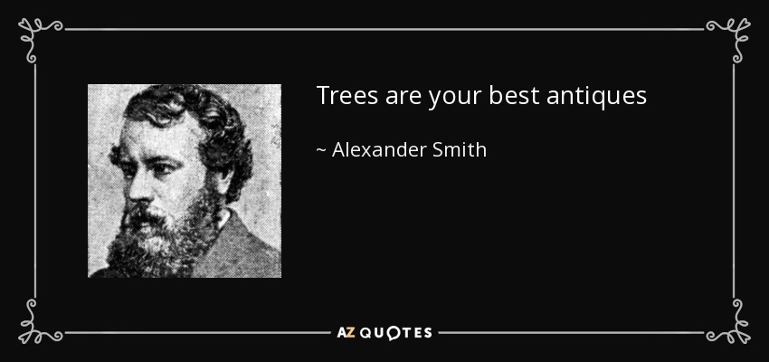 Trees are your best antiques - Alexander Smith