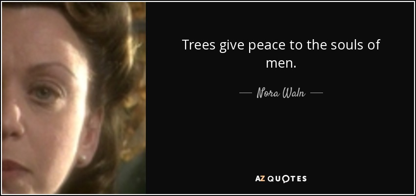 Trees give peace to the souls of men. - Nora Waln