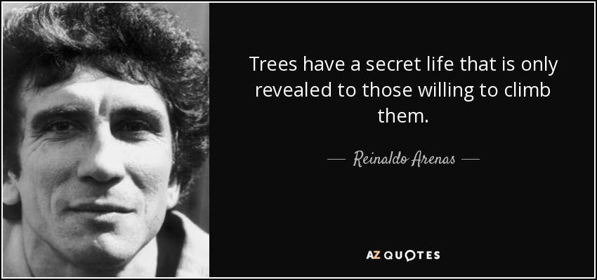 Trees have a secret life that is only revealed to those willing to climb them. - Reinaldo Arenas
