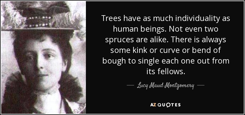 Trees have as much individuality as human beings. Not even two spruces are alike. There is always some kink or curve or bend of bough to single each one out from its fellows. - Lucy Maud Montgomery
