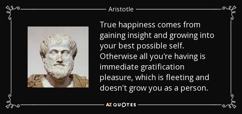 True happiness comes from gaining insight and growing into your best possible self. Otherwise all you're having is immediate gratification pleasure, which is fleeting and doesn't grow you as a person. - Aristotle