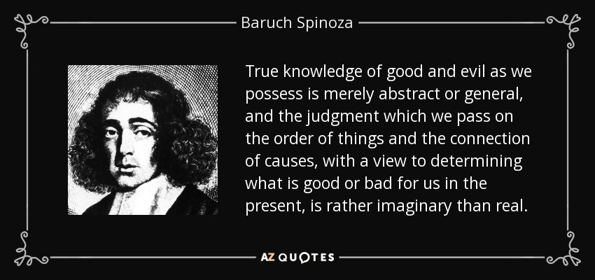 True knowledge of good and evil as we possess is merely abstract or general, and the judgment which we pass on the order of things and the connection of causes, with a view to determining what is good or bad for us in the present, is rather imaginary than real. - Baruch Spinoza