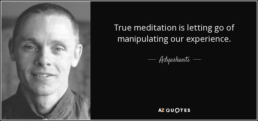 True meditation is letting go of manipulating our experience. - Adyashanti