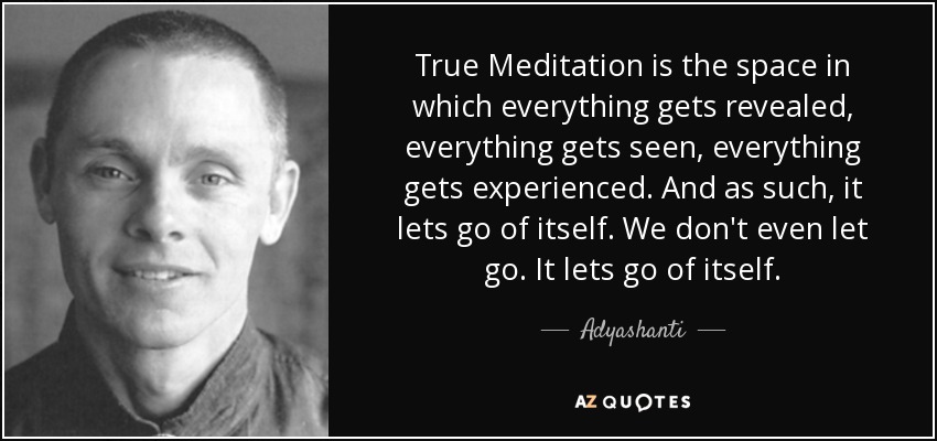 True Meditation is the space in which everything gets revealed, everything gets seen, everything gets experienced. And as such, it lets go of itself. We don't even let go. It lets go of itself. - Adyashanti