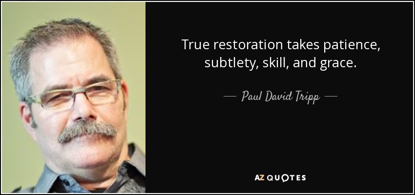 True restoration takes patience, subtlety, skill, and grace. - Paul David Tripp