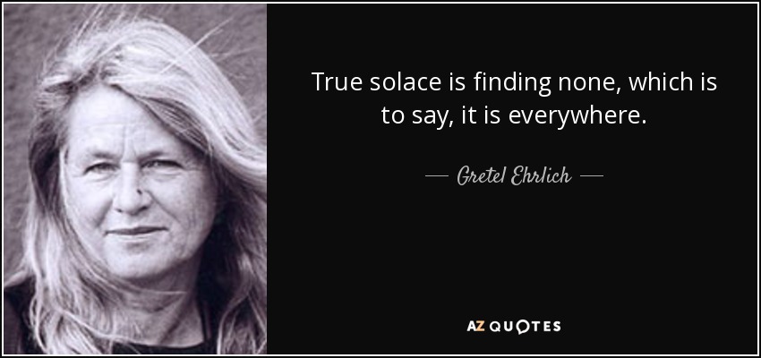 True solace is finding none, which is to say, it is everywhere. - Gretel Ehrlich