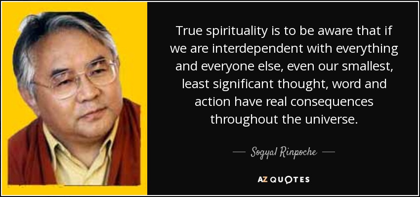 True spirituality is to be aware that if we are interdependent with everything and everyone else, even our smallest, least significant thought, word and action have real consequences throughout the universe. - Sogyal Rinpoche