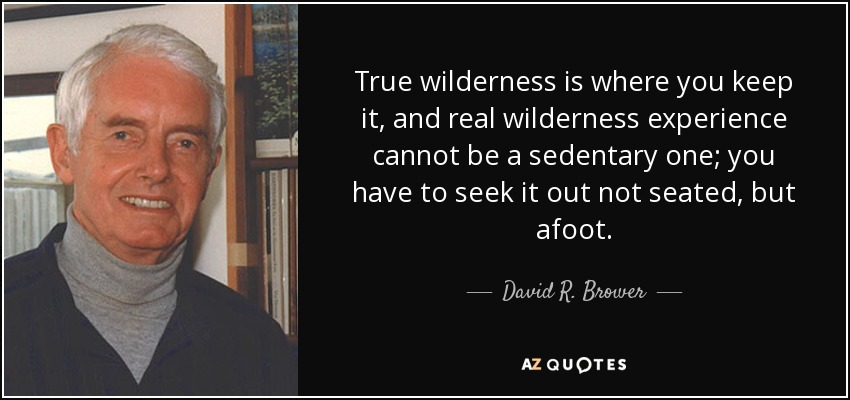 True wilderness is where you keep it, and real wilderness experience cannot be a sedentary one; you have to seek it out not seated, but afoot. - David R. Brower
