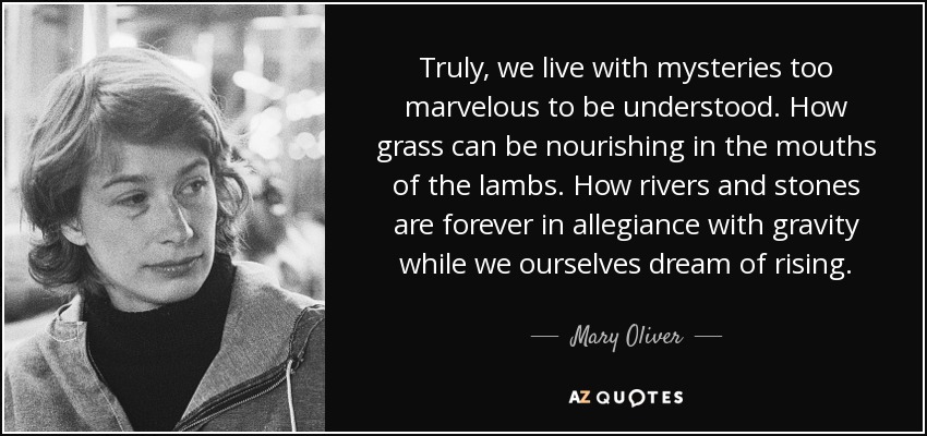 Truly, we live with mysteries too marvelous to be understood. How grass can be nourishing in the mouths of the lambs. How rivers and stones are forever in allegiance with gravity while we ourselves dream of rising. - Mary Oliver