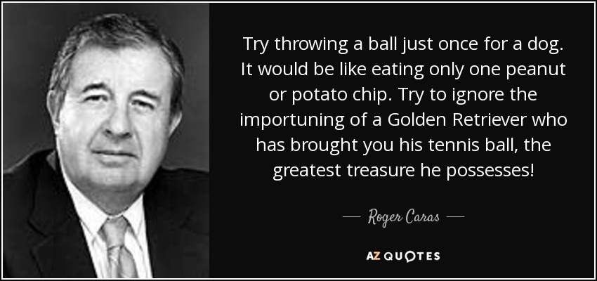 Try throwing a ball just once for a dog. It would be like eating only one peanut or potato chip. Try to ignore the importuning of a Golden Retriever who has brought you his tennis ball, the greatest treasure he possesses! - Roger Caras