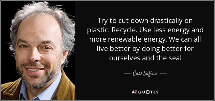 Try to cut down drastically on plastic. Recycle. Use less energy and more renewable energy. We can all live better by doing better for ourselves and the sea! - Carl Safina