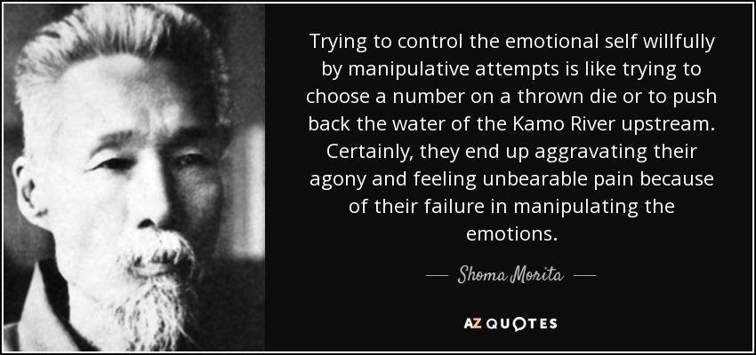 Trying to control the emotional self willfully by manipulative attempts is like trying to choose a number on a thrown die or to push back the water of the Kamo River upstream. Certainly, they end up aggravating their agony and feeling unbearable pain because of their failure in manipulating the emotions. - Shoma Morita