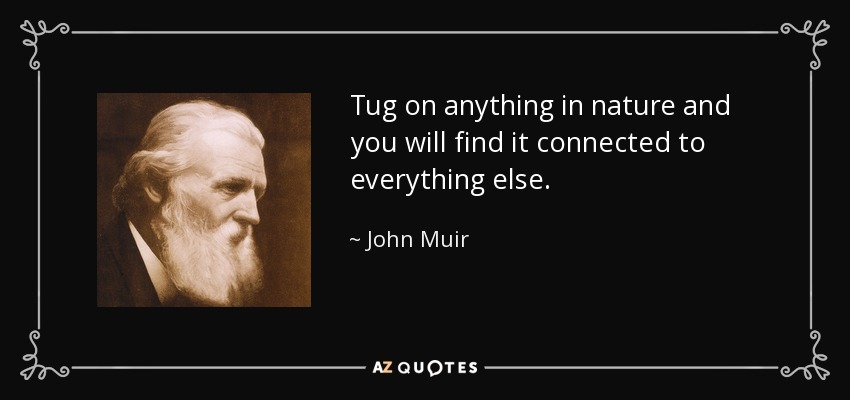 Tug on anything in nature and you will find it connected to everything else. - John Muir