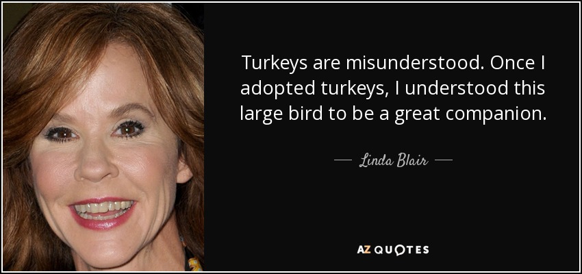 Turkeys are misunderstood. Once I adopted turkeys, I understood this large bird to be a great companion. - Linda Blair