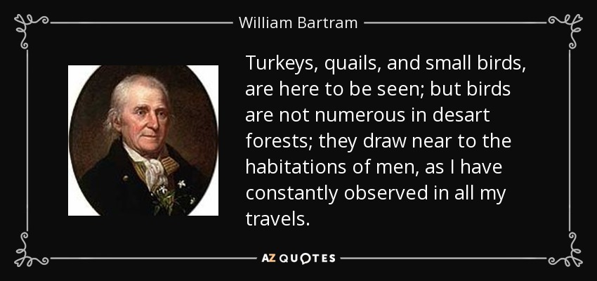 Turkeys, quails, and small birds, are here to be seen; but birds are not numerous in desart forests; they draw near to the habitations of men, as I have constantly observed in all my travels. - William Bartram
