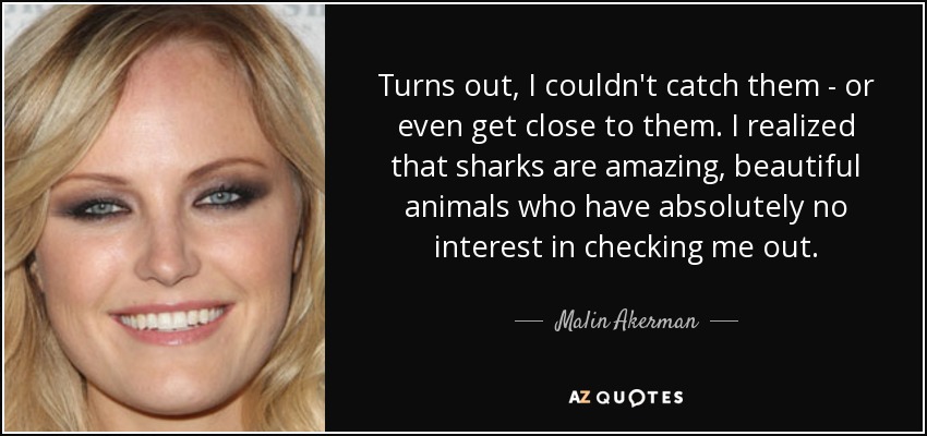 Turns out, I couldn't catch them - or even get close to them. I realized that sharks are amazing, beautiful animals who have absolutely no interest in checking me out. - Malin Akerman