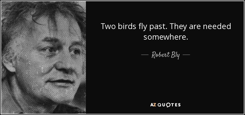 Two birds fly past. They are needed somewhere. - Robert Bly