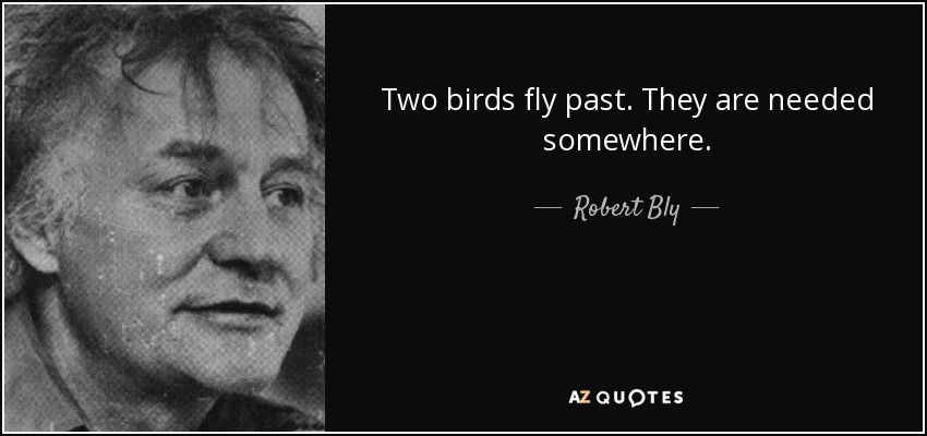 Two birds fly past. They are needed somewhere. - Robert Bly