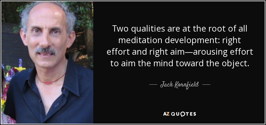 Two qualities are at the root of all meditation development: right effort and right aim—arousing effort to aim the mind toward the object. - Jack Kornfield