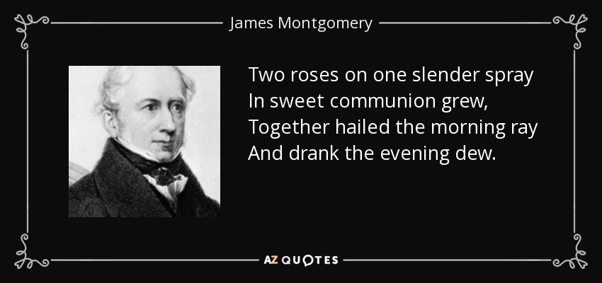 Two roses on one slender spray In sweet communion grew, Together hailed the morning ray And drank the evening dew. - James Montgomery