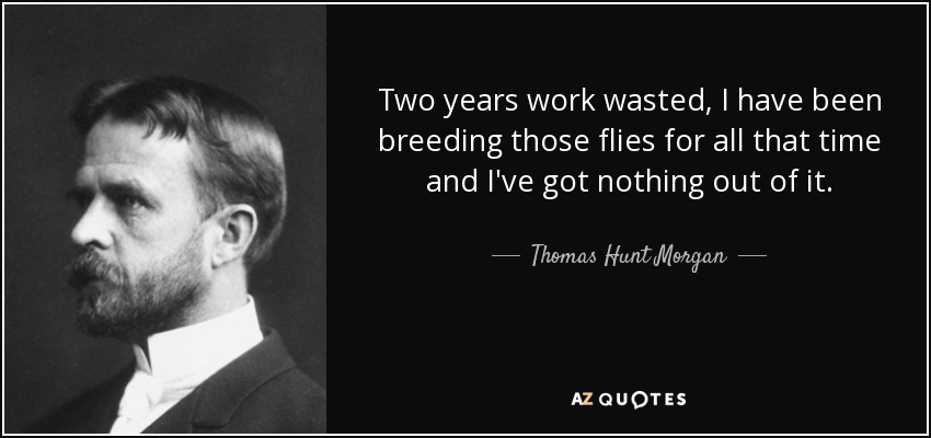 Two years work wasted, I have been breeding those flies for all that time and I've got nothing out of it. - Thomas Hunt Morgan