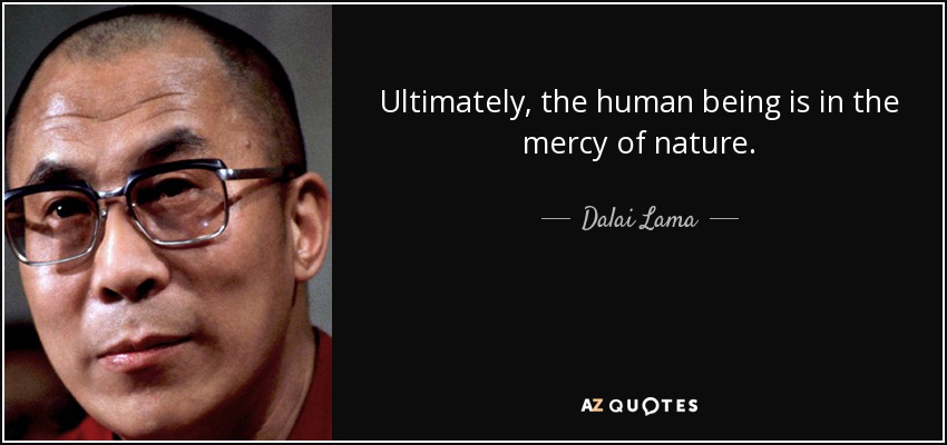 Dalai Lama quote: Ultimately, the human being is the mercy