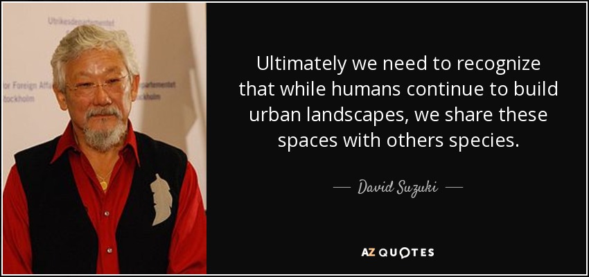Ultimately we need to recognize that while humans continue to build urban landscapes, we share these spaces with others species. - David Suzuki