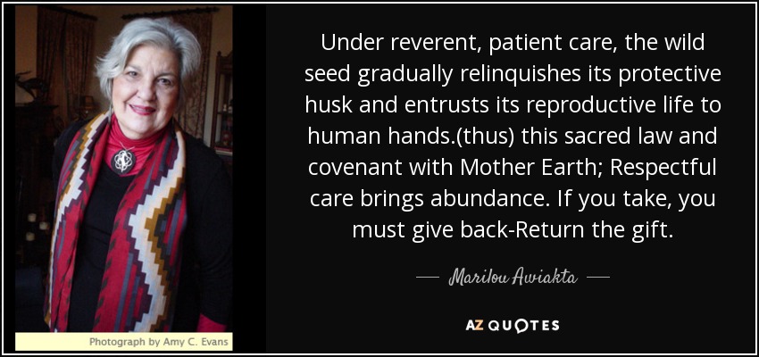 Under reverent, patient care, the wild seed gradually relinquishes its protective husk and entrusts its reproductive life to human hands.(thus) this sacred law and covenant with Mother Earth; Respectful care brings abundance. If you take, you must give back-Return the gift. - Marilou Awiakta