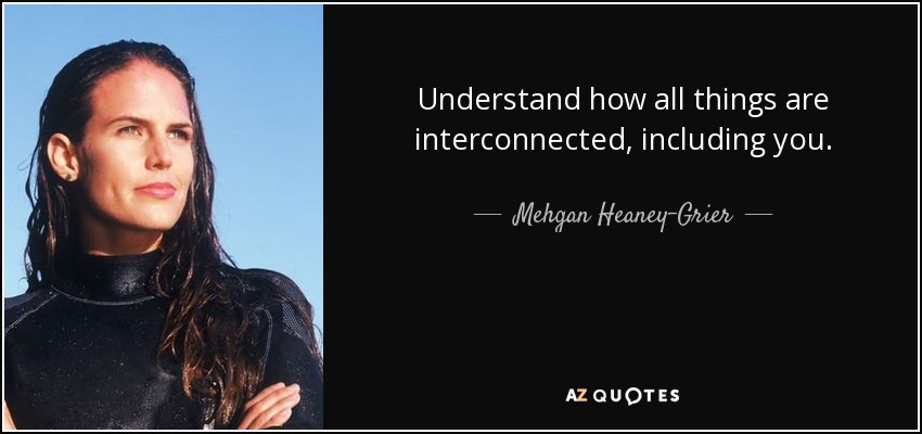 Understand how all things are interconnected, including you. - Mehgan Heaney-Grier