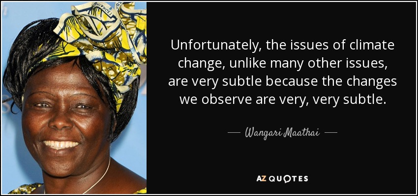 Unfortunately, the issues of climate change, unlike many other issues, are very subtle because the changes we observe are very, very subtle. - Wangari Maathai