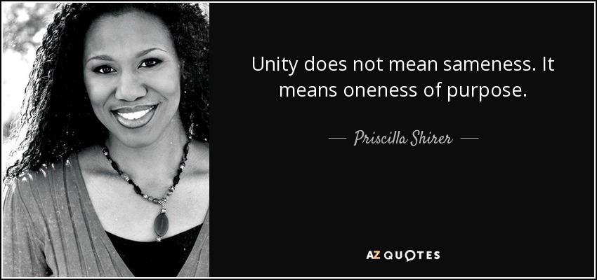 Unity does not mean sameness. It means oneness of purpose. - Priscilla Shirer