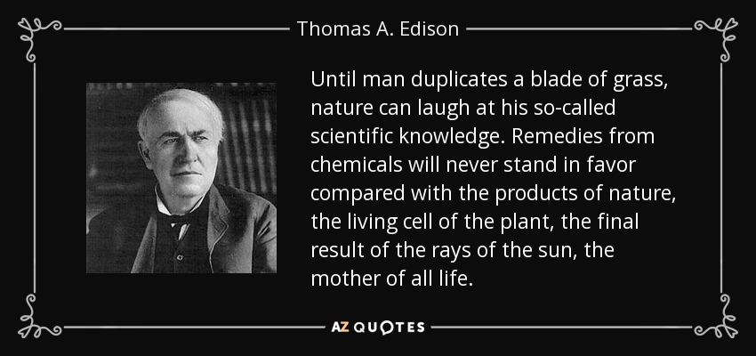 Until man duplicates a blade of grass, nature can laugh at his so-called scientific knowledge. Remedies from chemicals will never stand in favor compared with the products of nature, the living cell of the plant, the final result of the rays of the sun, the mother of all life. - Thomas A. Edison