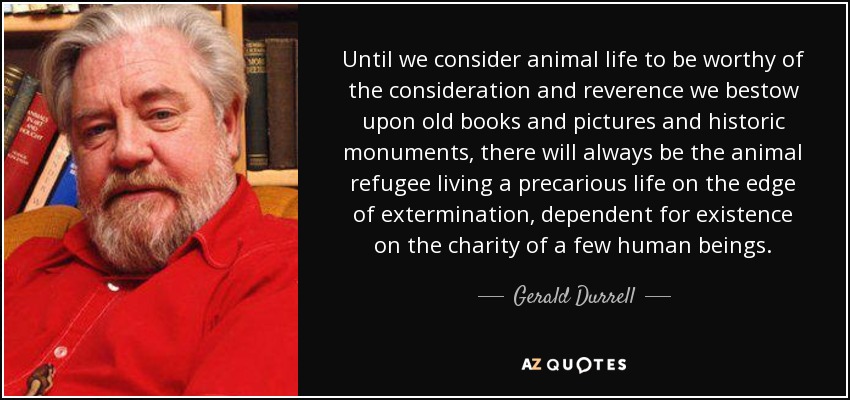 Until we consider animal life to be worthy of the consideration and reverence we bestow upon old books and pictures and historic monuments, there will always be the animal refugee living a precarious life on the edge of extermination, dependent for existence on the charity of a few human beings. - Gerald Durrell