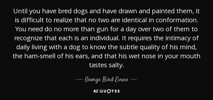 Until you have bred dogs and have drawn and painted them, it is difficult to realize that no two are identical in conformation. You need do no more than gun for a day over two of them to recognize that each is an individual. It requires the intimacy of daily living with a dog to know the subtle quality of his mind, the ham-smell of his ears, and that his wet nose in your mouth tastes salty. - George Bird Evans