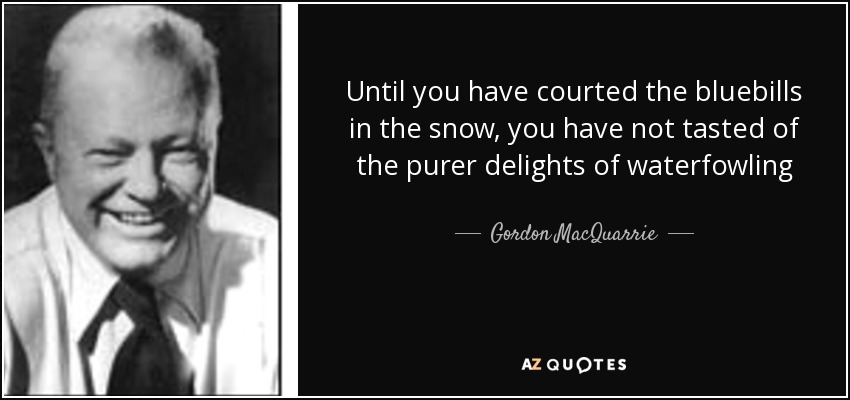 Until you have courted the bluebills in the snow, you have not tasted of the purer delights of waterfowling - Gordon MacQuarrie