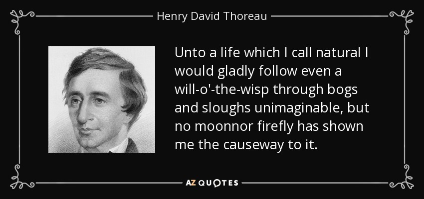 Unto a life which I call natural I would gladly follow even a will-o'-the-wisp through bogs and sloughs unimaginable, but no moonnor firefly has shown me the causeway to it. - Henry David Thoreau