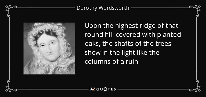 Upon the highest ridge of that round hill covered with planted oaks, the shafts of the trees show in the light like the columns of a ruin. - Dorothy Wordsworth