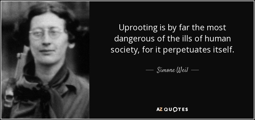 Uprooting is by far the most dangerous of the ills of human society, for it perpetuates itself. - Simone Weil