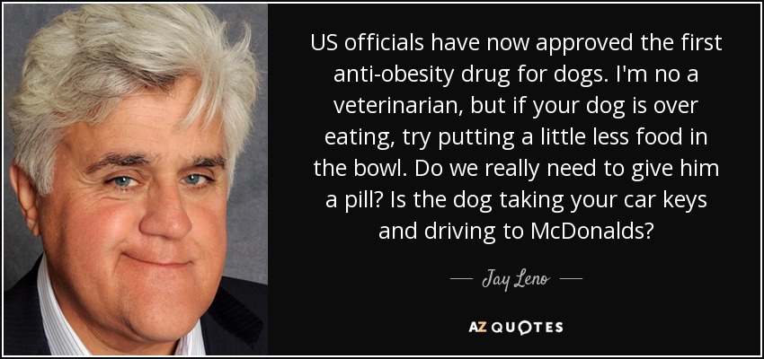 US officials have now approved the first anti-obesity drug for dogs. I'm no a veterinarian, but if your dog is over eating, try putting a little less food in the bowl. Do we really need to give him a pill? Is the dog taking your car keys and driving to McDonalds? - Jay Leno