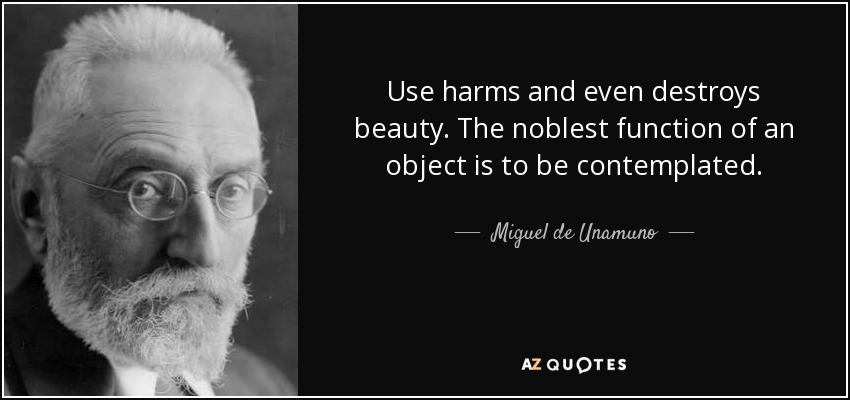 Use harms and even destroys beauty. The noblest function of an object is to be contemplated. - Miguel de Unamuno