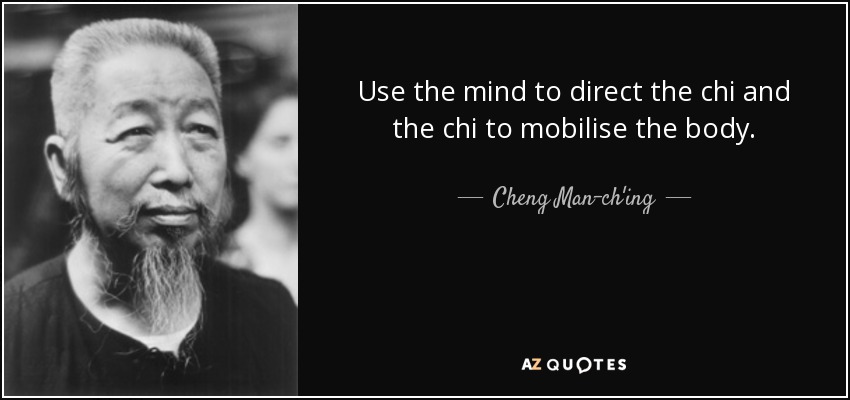 Use the mind to direct the chi and the chi to mobilise the body. - Cheng Man-ch'ing