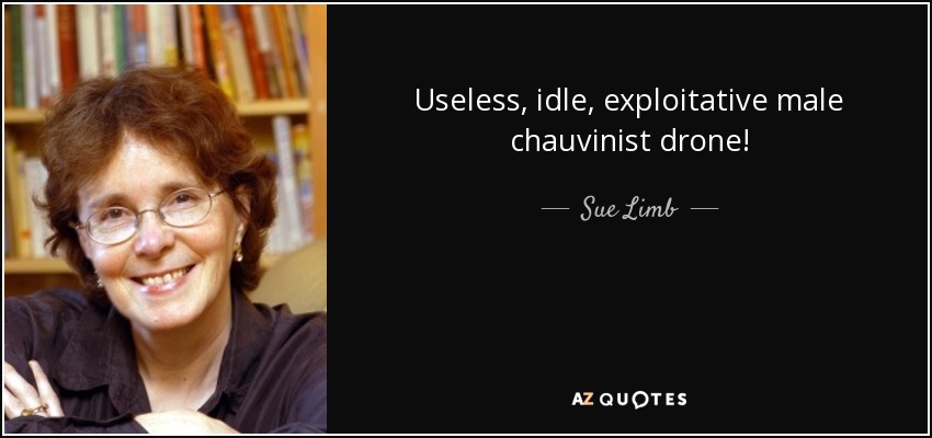 Useless, idle, exploitative male chauvinist drone! - Sue Limb