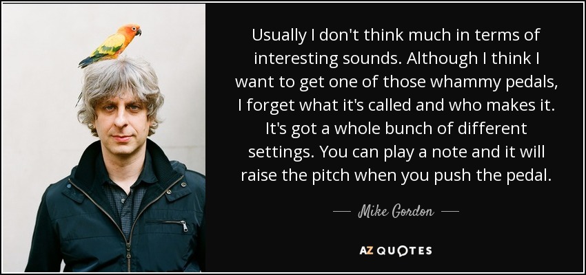 Usually I don't think much in terms of interesting sounds. Although I think I want to get one of those whammy pedals, I forget what it's called and who makes it. It's got a whole bunch of different settings. You can play a note and it will raise the pitch when you push the pedal. - Mike Gordon