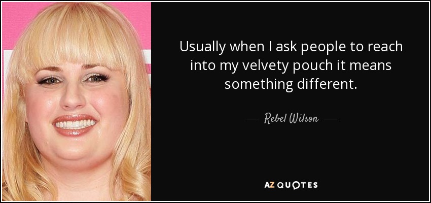 Usually when I ask people to reach into my velvety pouch it means something different. - Rebel Wilson
