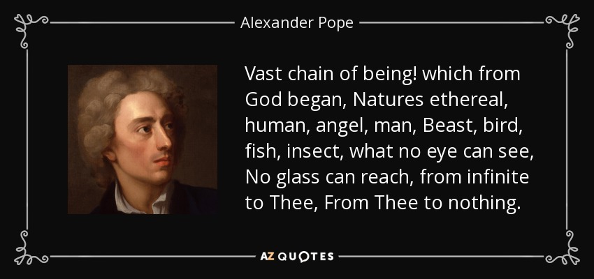 Vast chain of being! which from God began, Natures ethereal, human, angel, man, Beast, bird, fish, insect, what no eye can see, No glass can reach, from infinite to Thee, From Thee to nothing. - Alexander Pope